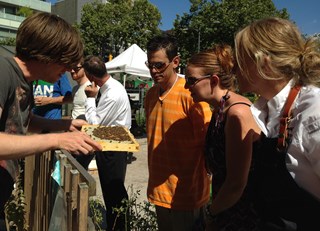 Hives for Humanity Workshop Series at Hastings Urban Farm (#FairmontBuzz)