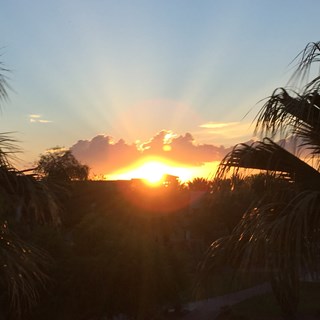 AZ Sunsets