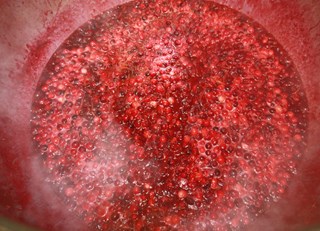 Port & Cranberry Relish