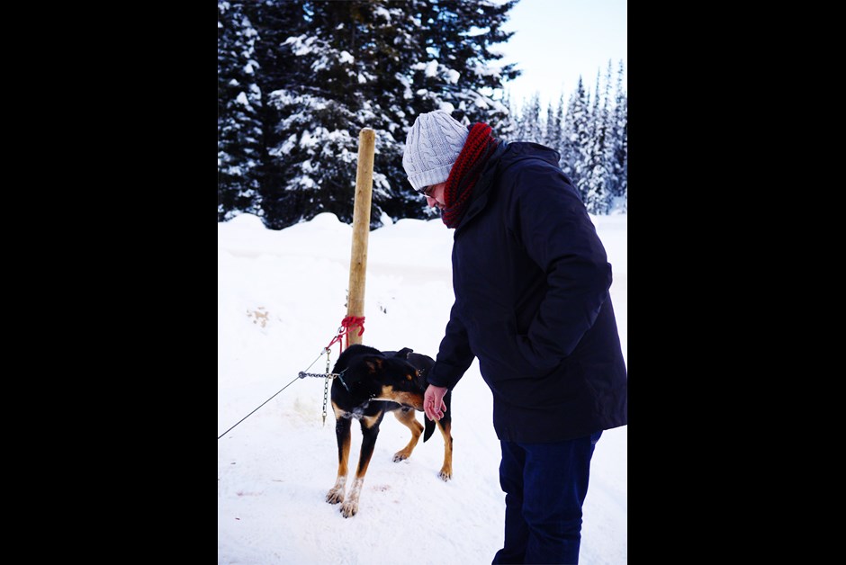 So much fun dog sledding with Kingmik