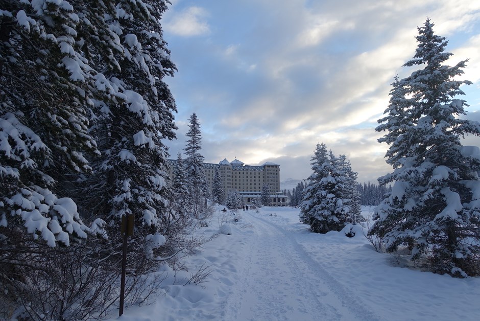 The Chateau through the snow topped trees