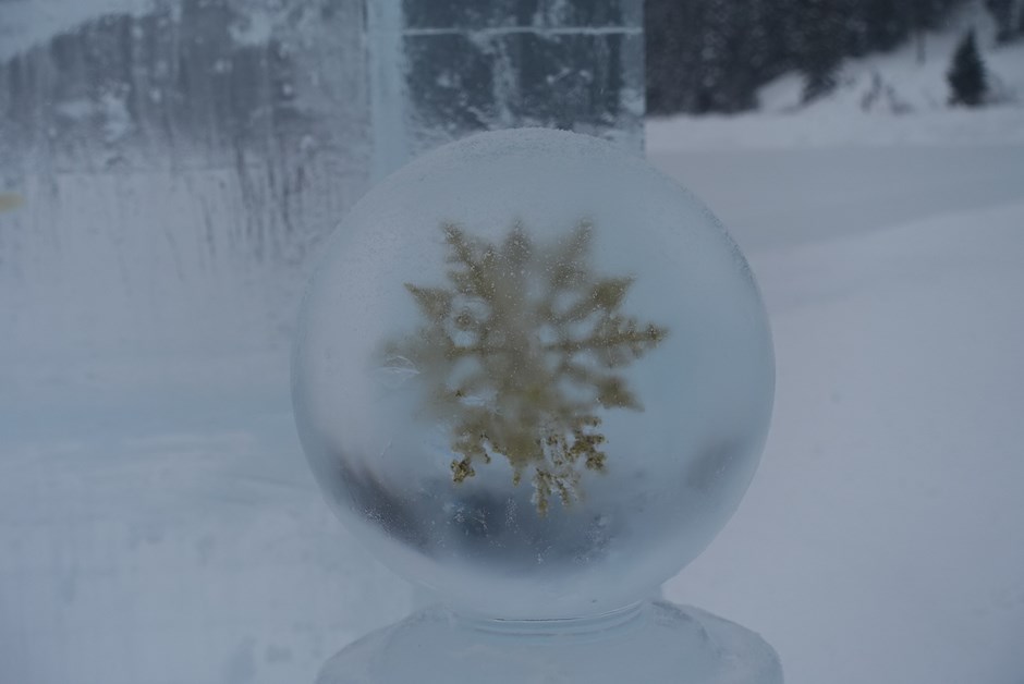 Ice sculpture