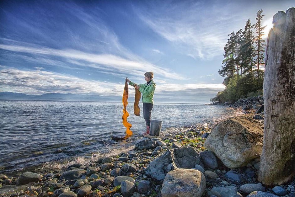 Spa Spotlight: A Journey through the Salish Sea