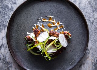 Botanist in the Running for Air Canada enRoute Magazine's Top 10