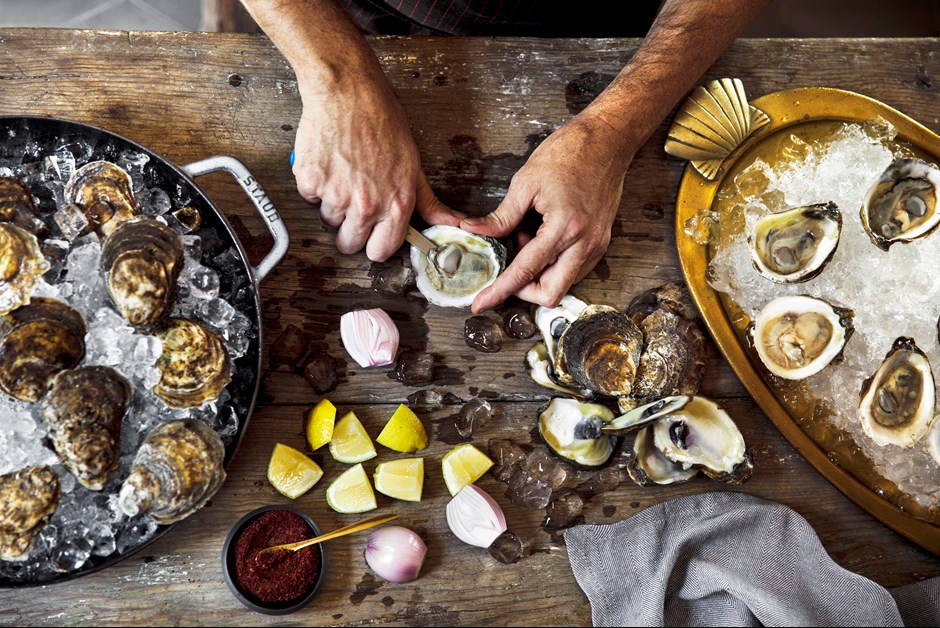 Oysters