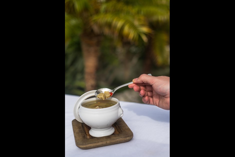 Waterlot Inn's "Monty the Turtle" Chicken Noodle Soup